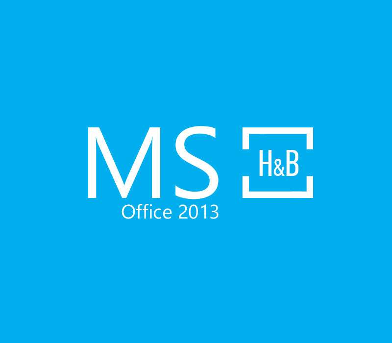 ms2013hb_v2_1