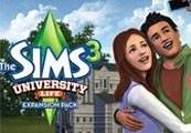 simsicon_2