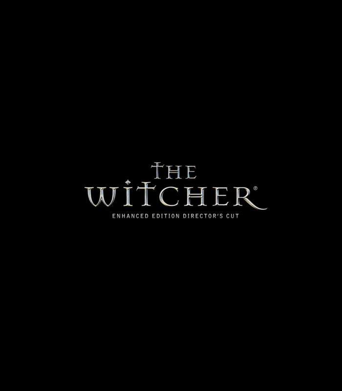 witcher_1_700_2 witcher_1_700_2