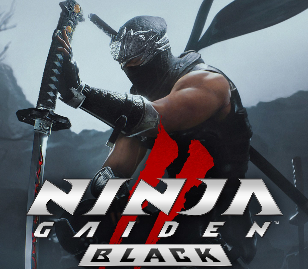 000_202501241303_NINJAGAIDEN2Black111