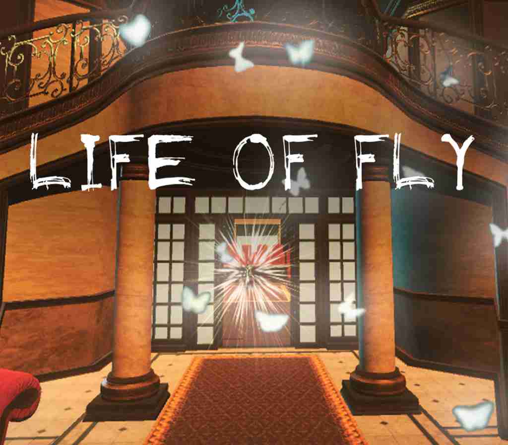 _LifeofFly800 _LifeofFly800