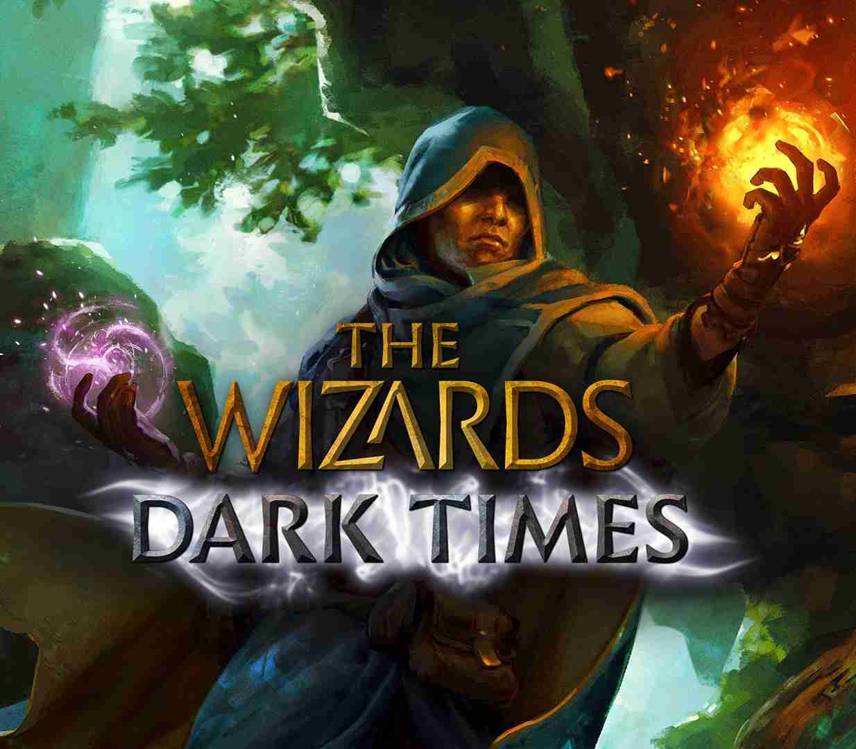 The_Wizards_Dark_Times_Cover800
