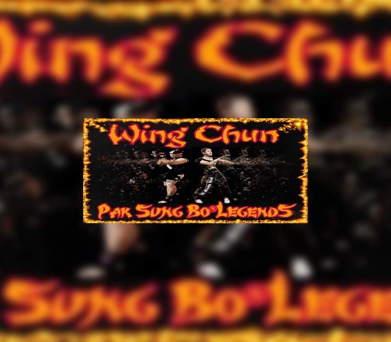 _WingChun800