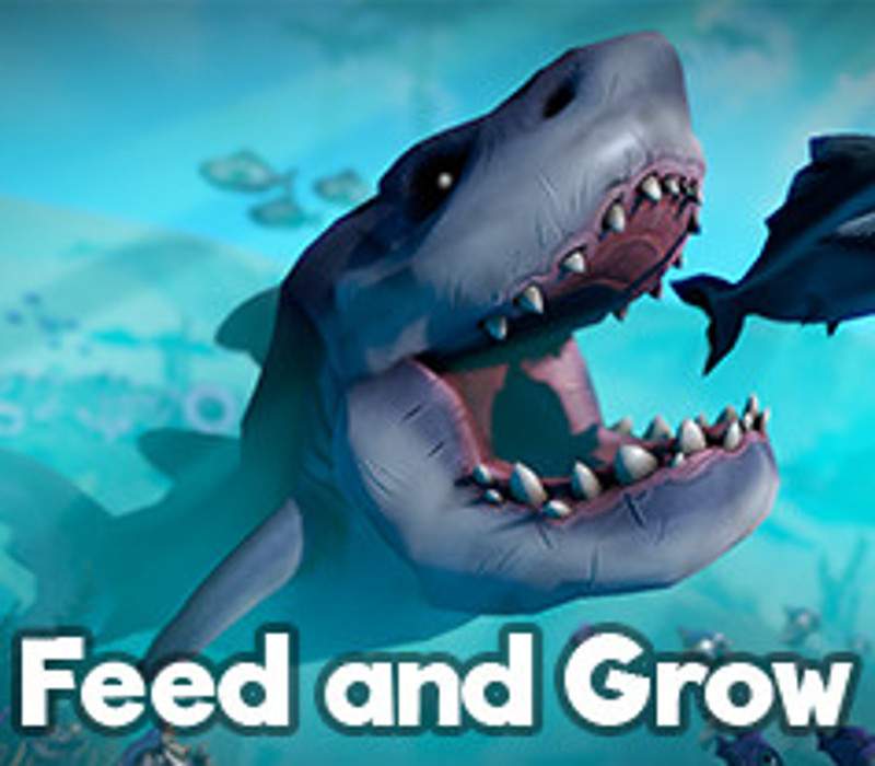 feed8_1