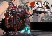 gaige_2