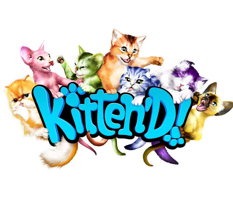 kiten8 kiten8