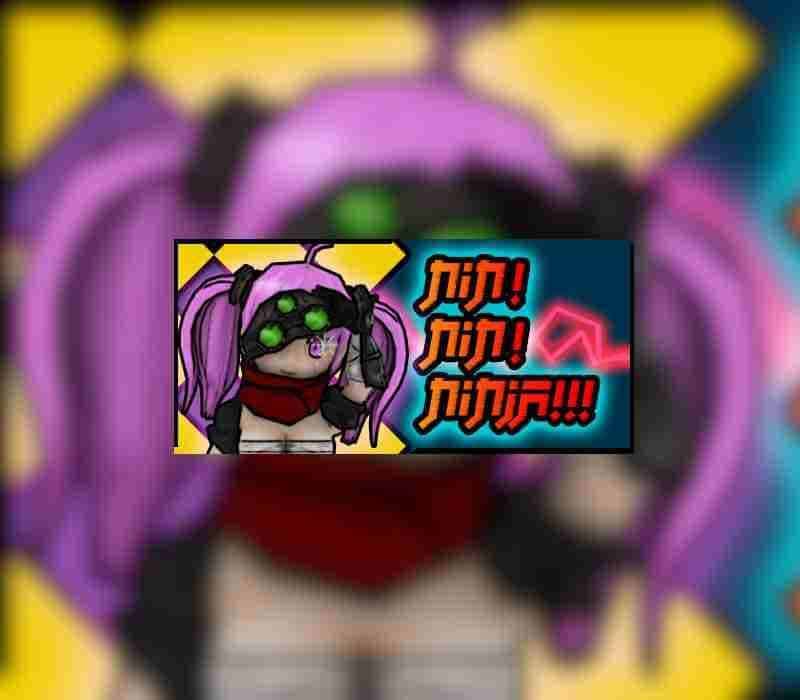 _nininnija800
